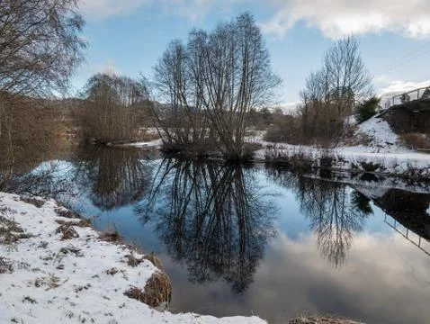Tree mirror at the river Foto stock