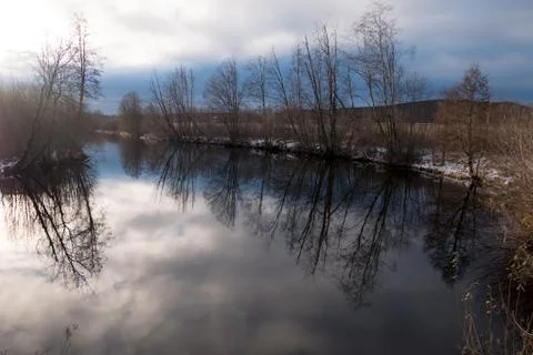 Tree mirror at the river Stock Photos