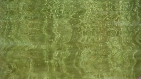 Tree mirroring in a lake Stock-Footage 34162275