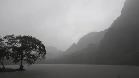 Tree in the mist by a lake. Gray and heavy theme. Horror thriller movie Stock Footage 160277520