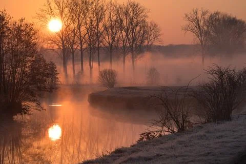 Tree in the mist at the river Stock Photos