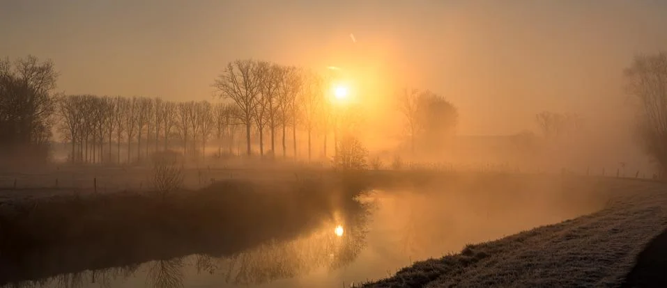 Tree in the mist at the river Foto stock