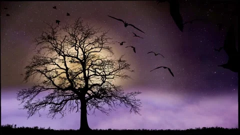 Tree moon birds 스톡 동영상 246789550