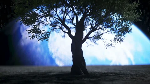 Tree on the moon in outer space. 3d rendering. Stock Footage 132644373