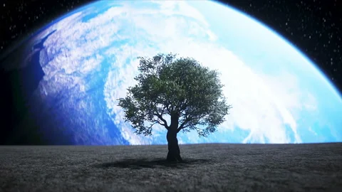 Tree on the moon in outer space. 3d rendering. Stock Footage 132645115