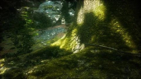 Tree with moss on roots in a green forest Illustrazione stock