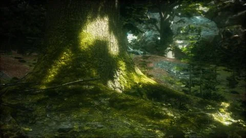 Tree with moss on roots in a green forest Illustrazione stock