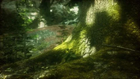 Tree with moss on roots in a green forest Stock Illustration
