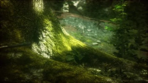 Tree with moss on roots in a green forest 스톡 일러스트