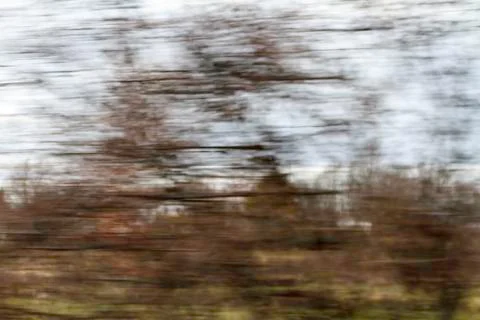 Tree motion blur Stock Photos