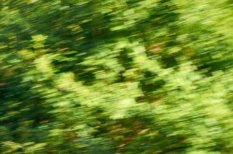 Tree in motion blur Stock Photos