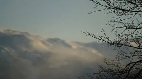 Tree with mountain background. Stock Footage 10756120