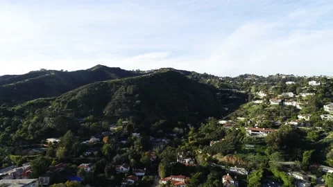 A tree with a mountain in the background Stock Footage 155459674