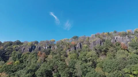 A tree with a mountain in the background Stock Footage 155460049