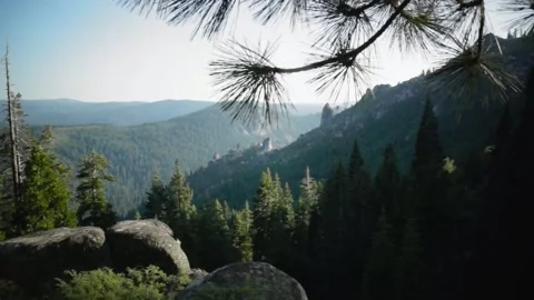 A tree with a mountain in the background Stock Footage 155591406