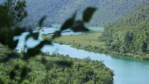 A tree with a mountain in the background Stock Footage 156011356