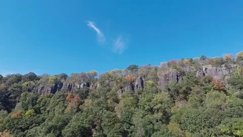 A tree with a mountain in the background Stock Footage 156335882