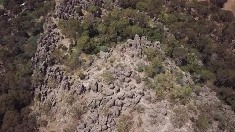 A tree with a mountain in the background Video stock 156336679