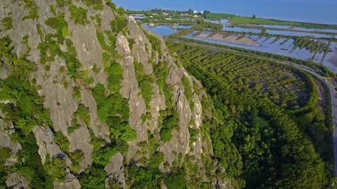 A tree with a mountain in the background Vídeos de archivo 156842918