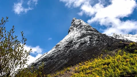 A tree with a mountain in the background 스톡 동영상 156843357