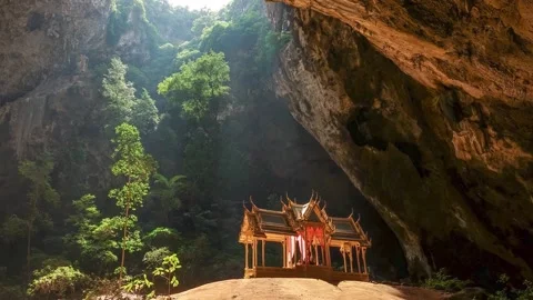 A tree with a mountain in the background 스톡 동영상 156843541