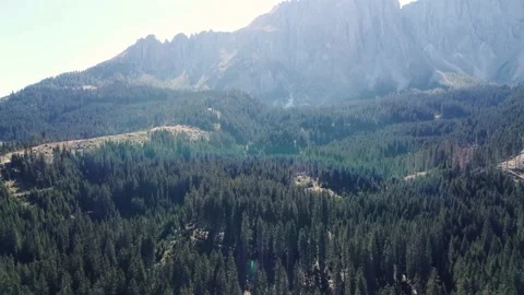 A tree with a mountain in the background italy Stock Footage 209860309