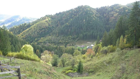 A tree with a mountain in the background. panorama of a beautiful view of the Stock Footage 139872480