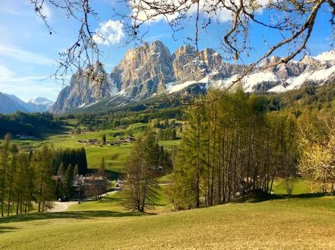 A tree with a mountain in the background Stock Photos