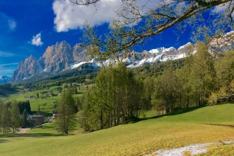 A tree with a mountain in the background Stock Photos