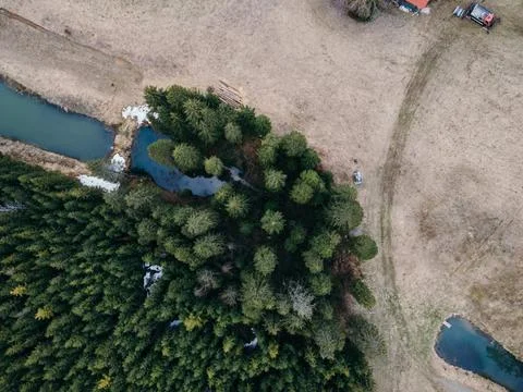 A tree with a mountain in the background Foto stock