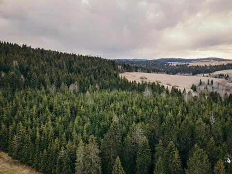 A tree with a mountain in the background Stock Photos
