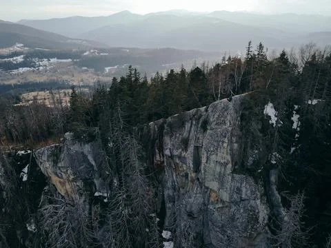 A tree with a mountain in the background Stock Photos