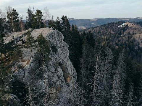 A tree with a mountain in the background Stock Photos