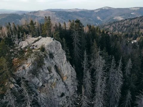 A tree with a mountain in the background Stock Photos