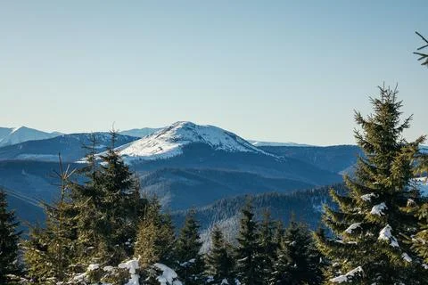 A tree with a mountain in the background Stock Photos