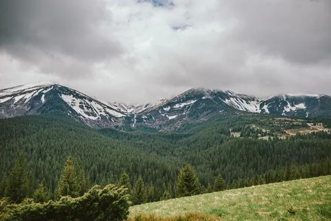 A tree with a mountain in the background Stock Photos