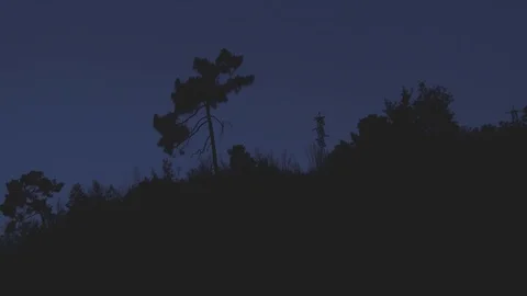 TREE MOUNTAIN CONTRAST NIGHT SKY Stock Footage 91385659