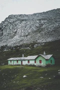 The tree in the mountain Stock Photos