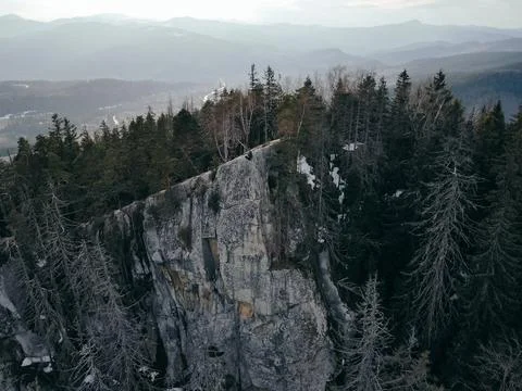 A tree with a mountain in the snow Stock Photos
