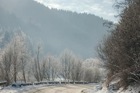 A tree with a mountain in the snow Stock Photos