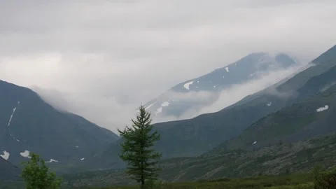 Tree in the mountains. Timelapse. Subpolar Ural. Uralic Mountains Stock Footage 269139989