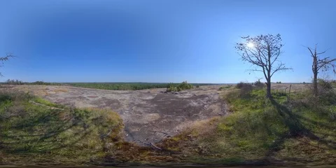Tree on a Mountaintop (4K 360) Stock Footage 90136421