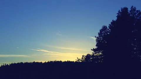 Tree move in the wind at sunset, clouds float Video stock 60396010
