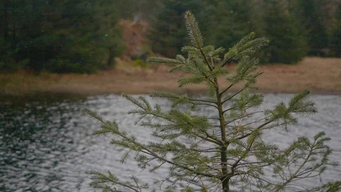 A tree moves in the foreground while a tarn flows behind and snow flurries Video stock 126466403