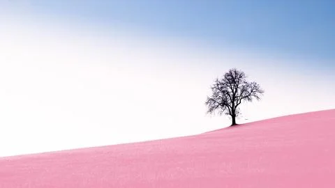 Tree, nature background Stock Photos