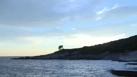 Tree near the sea cloudy sunset Stock Footage 84316094