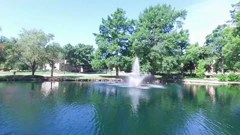 A tree next to a body of water Video stock 155458596