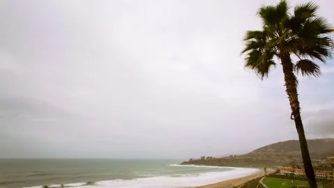 A tree next to a body of water 動画素材 156014853