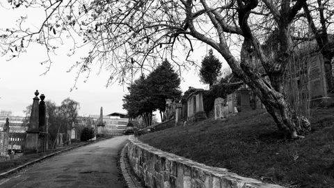 A tree next to a cemetery path sways in the wind Stock Footage 171832451