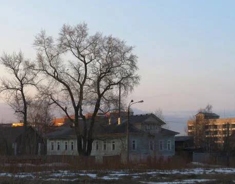 The tree next to the house Stock Photos